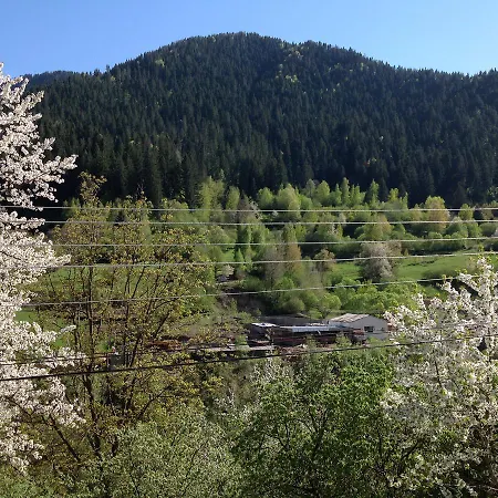 Guest Waterfall Smolyan